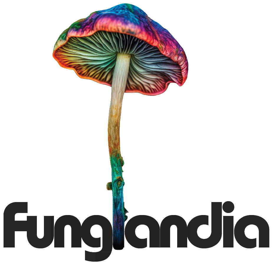 Funglandia Logo