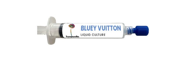 BLUEY VUITTON_Su svirkštu