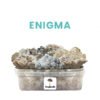 ENIGMA