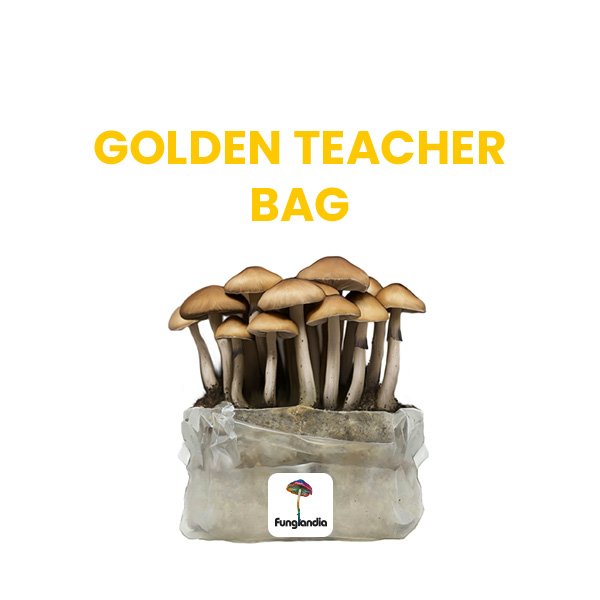 GOLDEN TEACHER BAG