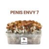 PENIS ENVY 7