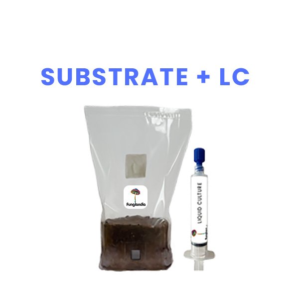 Sterile substrate_Substrate LC