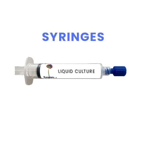 Syringes Liquid culture